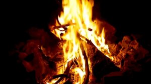 Видео огня. Костер в лесу для релаксации. Уютное видео. Заставка на экран.