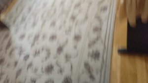 показываю свой дом