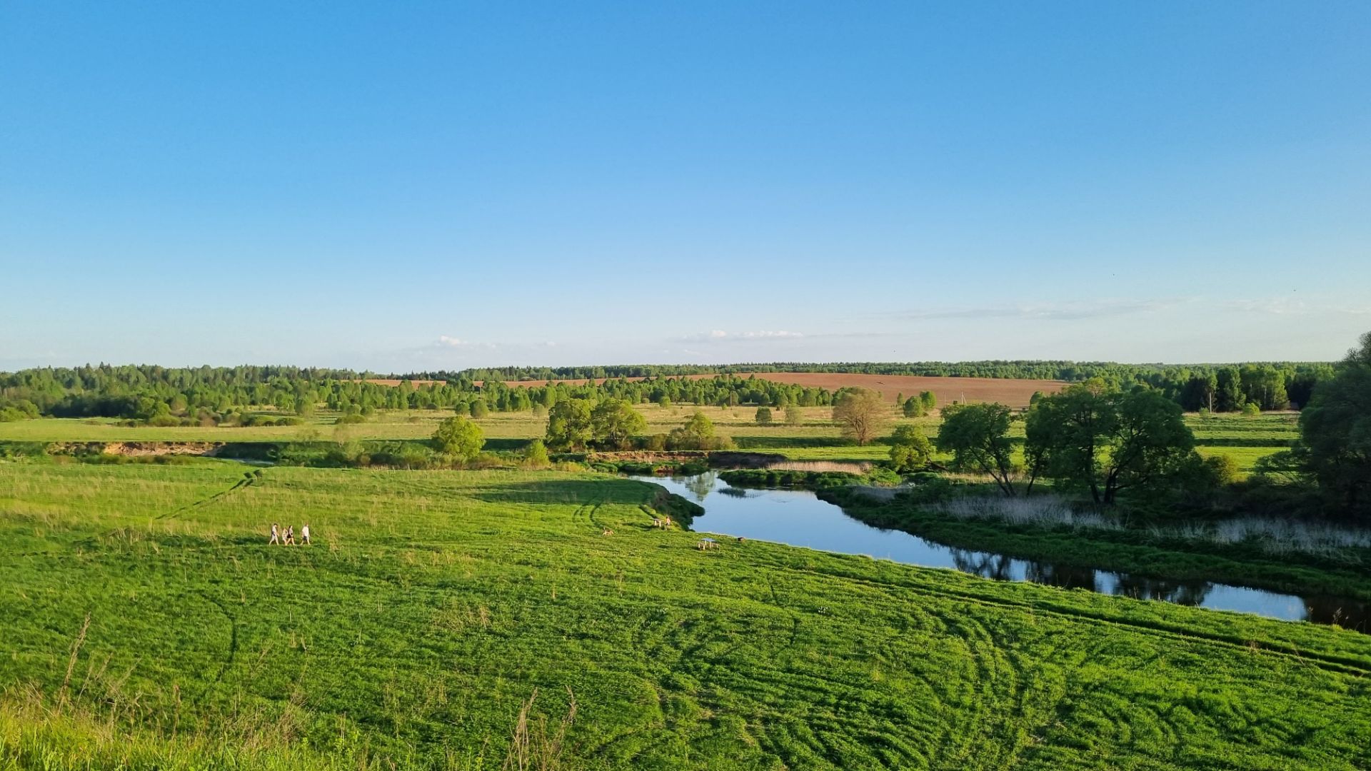 Продается земельный участок в  СНТ «Творец» (рядом с д. Вышегород)