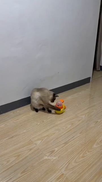 Обнаружил баг в системе смотреть онлайн