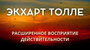 Расширенное восприятие — это просто быть здесь. Экхарт Толле