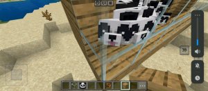 всём привет я  сейчас на новом телефоне