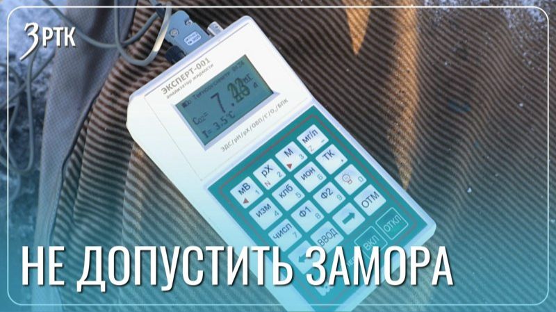 Рыбам хватает кислорода даже в разгар зимы смотреть онлайн