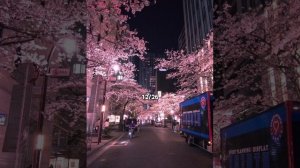 танцуй если знаешь этот тренд 2024(тренды не мои)