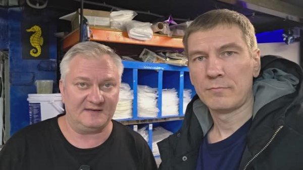 Калипсо Обзор поставки кораллов и ЖК февраль 2026