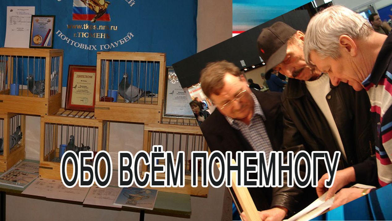 обо всём понемногу