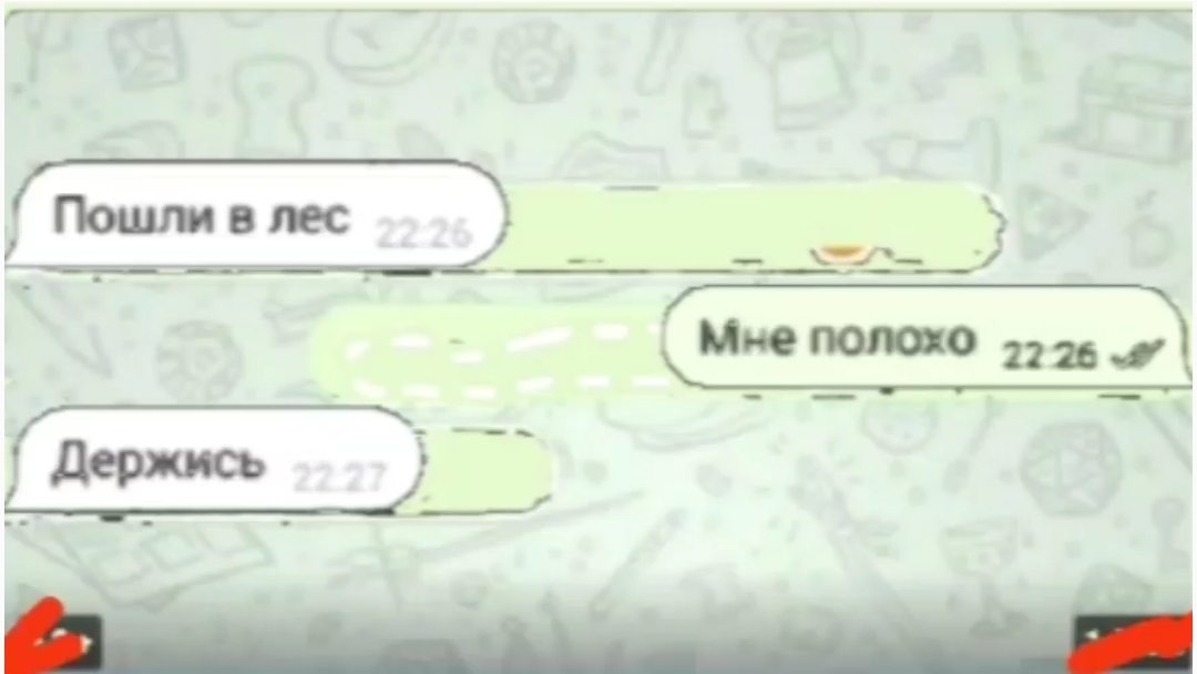 друг позвал меня погулять в странном лесу: 2 часть переписки Ильи и юры (финал)