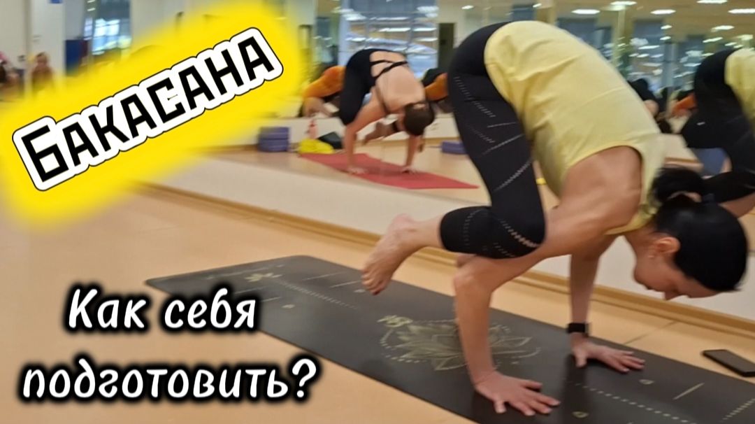 Бакасана: Подготовка к позе журавля, разминка и техника выполнения асан. Йога для всех смотреть онлайн