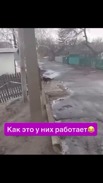 Как это у них работает 🤣 смотреть онлайн