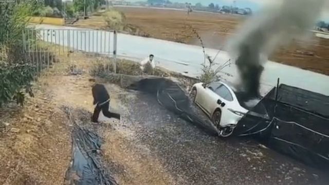 Электричка из Китая смотреть онлайн