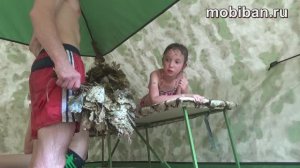 Паримся в РС-33 с печью Паробомба-3