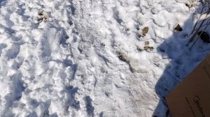 Нас встречают