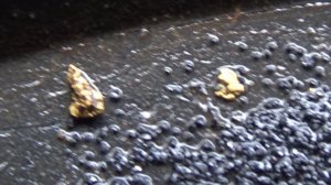 Золото с коренного плотика!