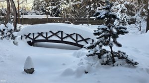 Баня спустя пять лет..