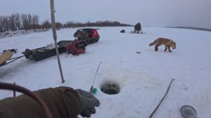 Зимняя рыбалка 3-4.02.2026