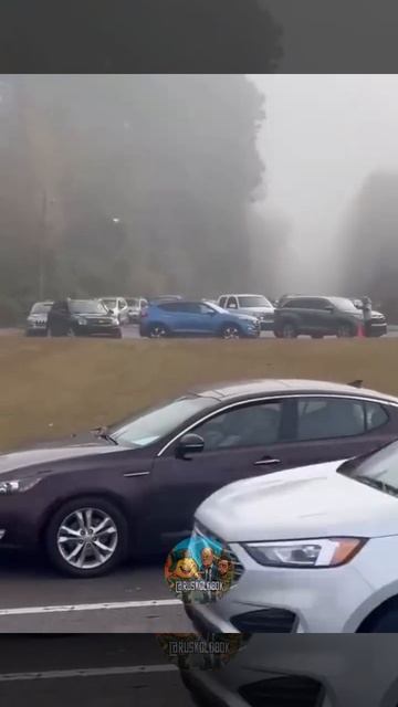 🇺🇸В США мужчина случайно обнаружил большую пробку на дороге с самым неожиданным её началом… смотреть онлайн