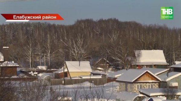 Самовыгул закончился ЧС: в Елабуге — первый случай бешенства в году