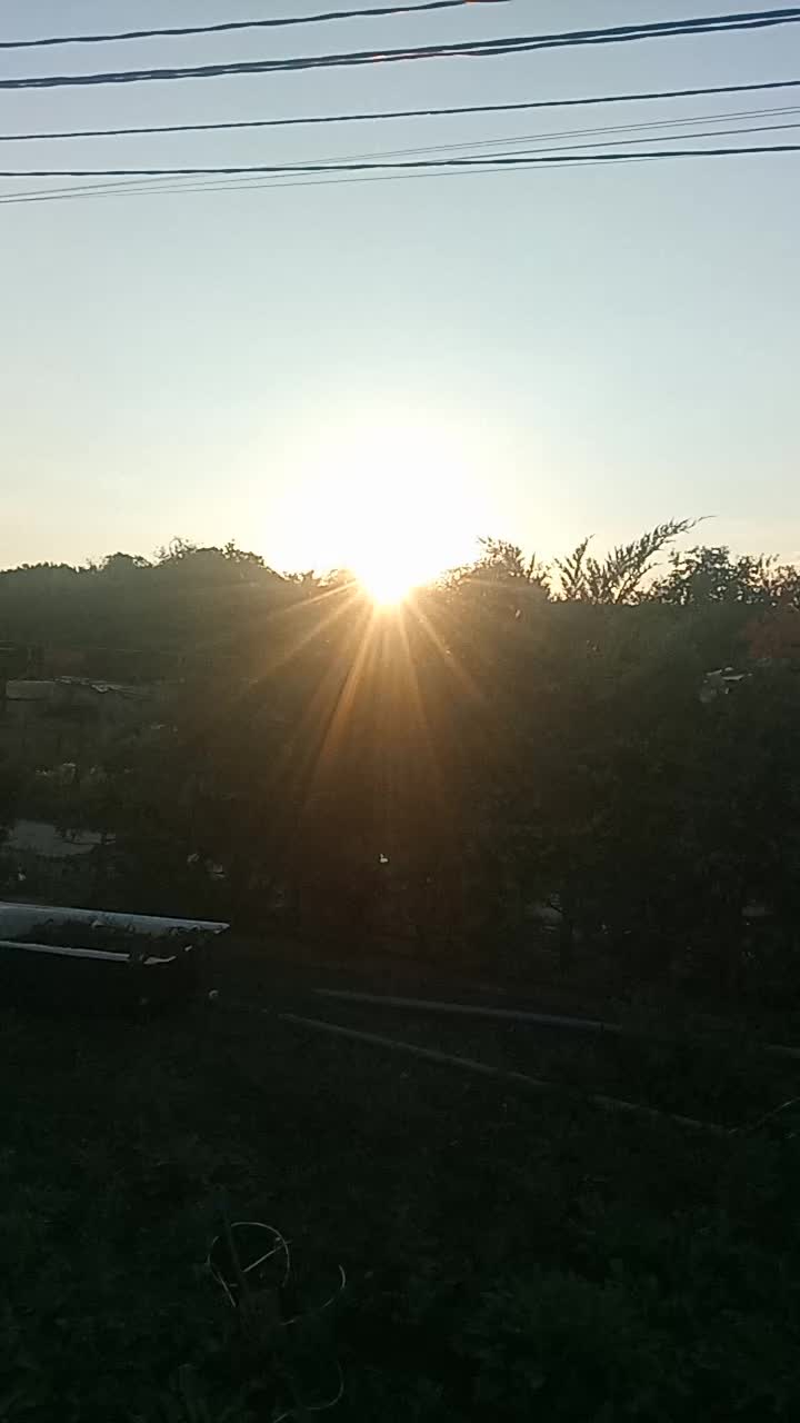 Всем привет, очень долгие видео, но надеюсь будет интересно. Ура накрыл я помидорки (правда не вс...