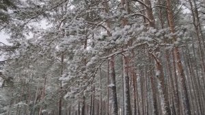 Работа по найму - это аренда наших способностей. Самостоятельное планирование. И другое