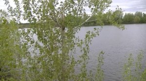 vatravel.ru Река Кама в д.Сайгатка (г.Чайковский, Пермский край)