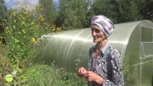 "Живите на земле!"Родовое поместье Н.П.Степановой. ч.3. ПРП Ковчег