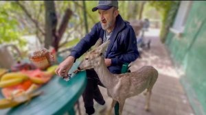 К Люсе , Степашке и Жорику приезжает ОЧЕНЬ МНОГО подписчиков со всей России!