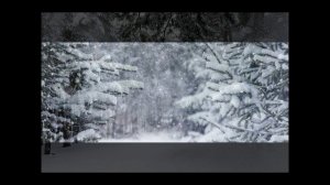 Сегодня снова падал снег