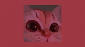 (📸) плейлист английских песен!! 1 час