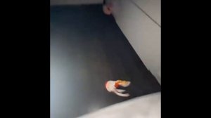 гугу гага мем | мем с обёрткой от шоколадного деда мороза