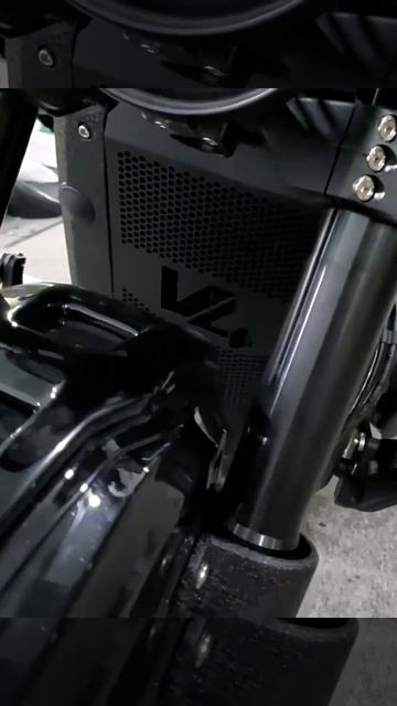 Решетка радиатора SEMSPEED - Dark Flag 500