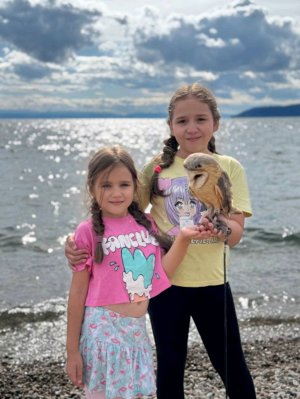 прошпионила за систр