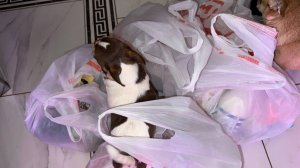 Небольшая закупочка из Магнита.