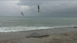 О МОРЕ, МОРЕ  -  Магомаев