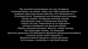 КАК Я САМА ЗАГУБИЛА СВОИ РАСТЕНИЯ.