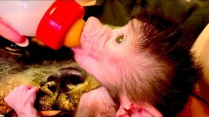 Николь психушка, сама не знает чего хочет, а на меня обижается😁