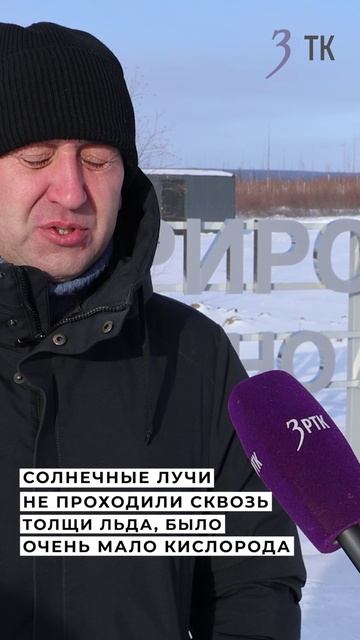 Рыбам хватает кислорода даже в разгар зимы смотреть онлайн