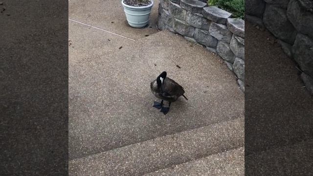 Такой концовки я и сам не ожидал (183) смотреть онлайн