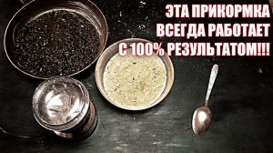 Отличная самодельная прикормка для зимней и летней рыбалки!