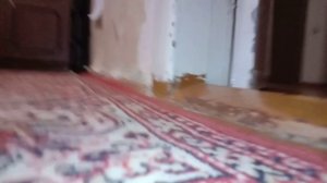 Дверь Дом Квартира Вещи Шкаф И Конечно Же Вещи Из Нажего Дома А Сейчас Ещё Будет Покозан КрАй Дивант