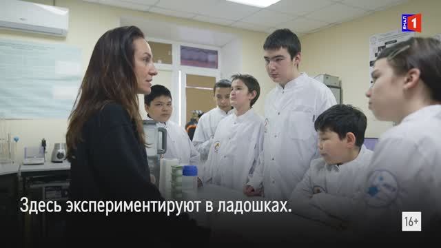 Арктика и дети: экспериментировать разрешается смотреть онлайн