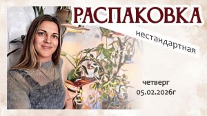 обещанная РАСПАКОВКА необычного формата, 05.02.2026г