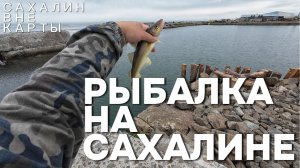 Один день на восточном Сахалине: ПОЙМАЛ — ПРИГОТОВИЛ — СЪЕЛ. РЫБАЛКА НА САХАЛИНЕ