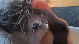 Секреты Толика | 2 серия