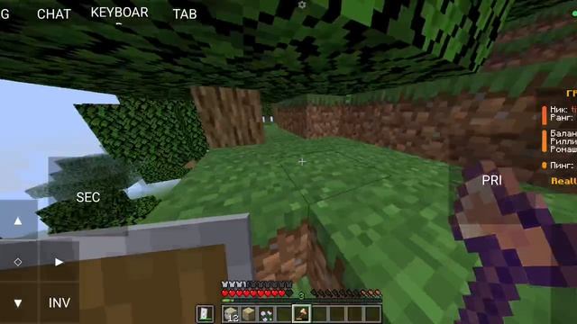 играю на север ReallyWorld