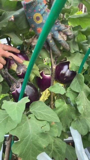 Вспоминаем 13 сентября 2024 года.