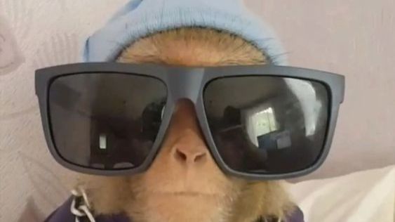 Играю в PEAK часть 2🙊🐒