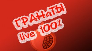 Кавер группа ГРАНАТЫ (фрагмент живого выступления)