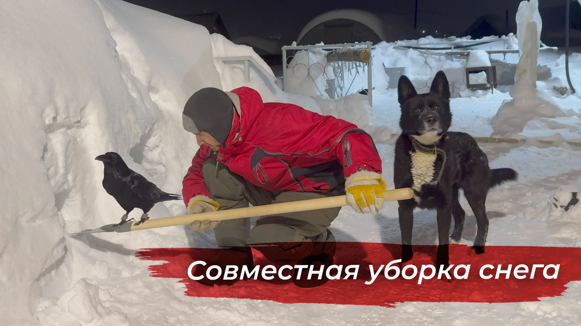 Снегом завалило! Ворон и собака в помощь! смотреть онлайн