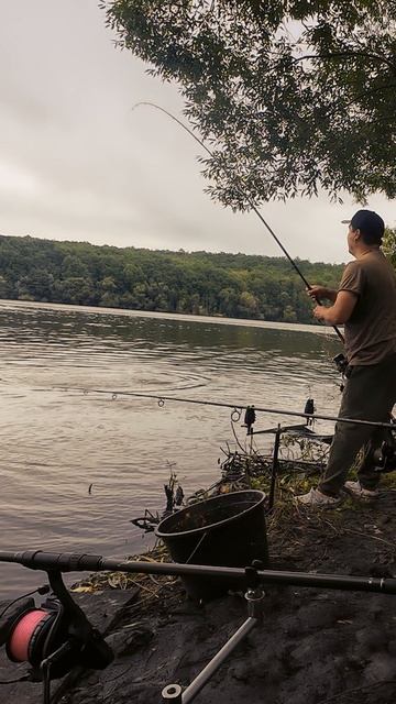 Накормил зерном и получил смотреть онлайн