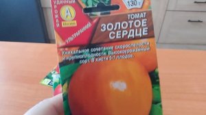 подготовка к весеннему сезону